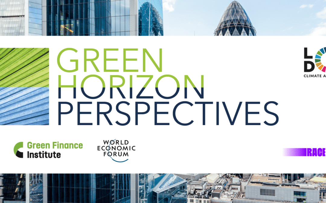 Green Horizon Perspectives: The Pivotal Role of Finance