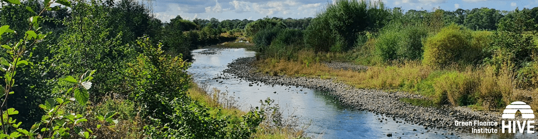 Public Webinar: Showcase of the Wyre River Natural Flood Management Project